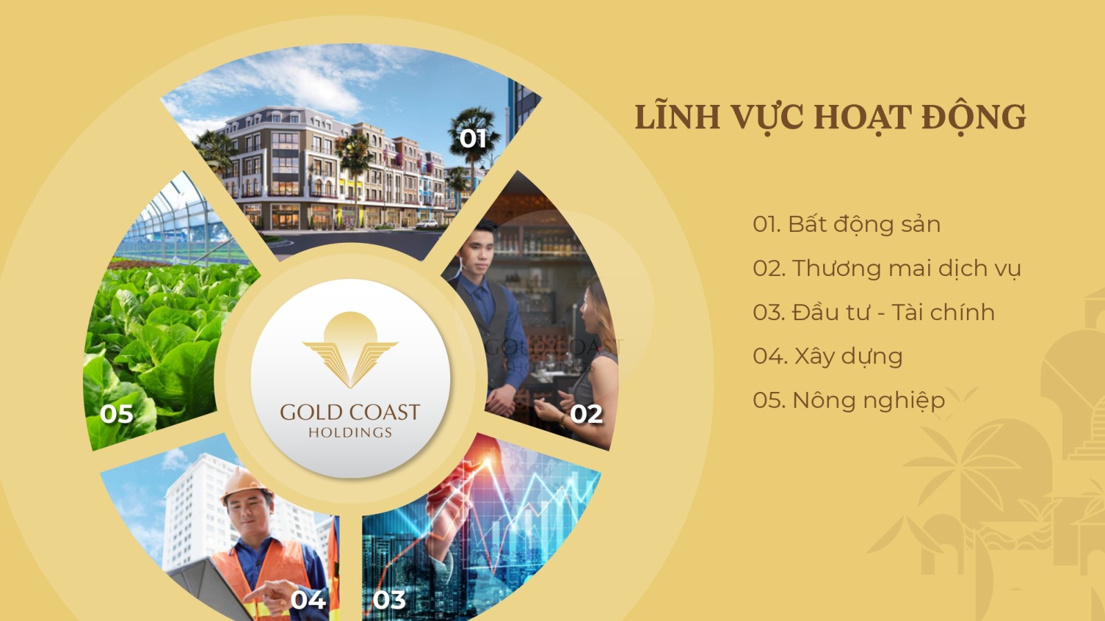 Lĩnh Vực Hoạt động